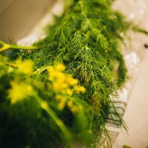 Kr&auml;uterb&uuml;schel