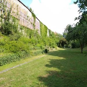 Foto vom Ort 'ND, Stadtgraben'